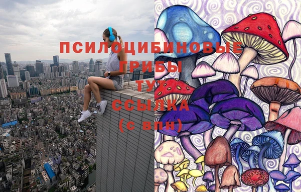 экстази Новозыбков