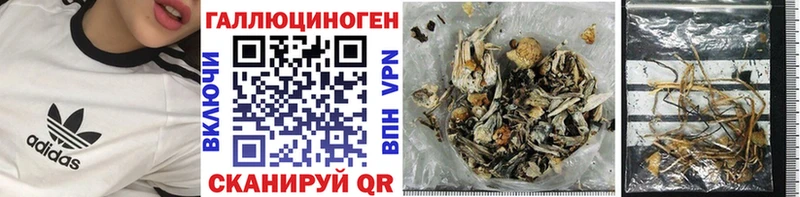 Псилоцибиновые грибы Magic Shrooms  Купить где  Королёв 